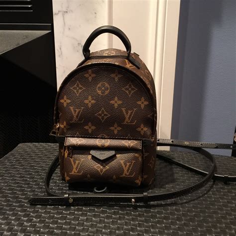 lv mini spring palm backpack|monogram palm springs backpack mini.